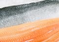 Dreaming of Salmon