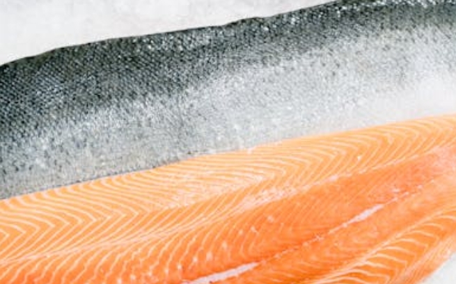 Dreaming of Salmon