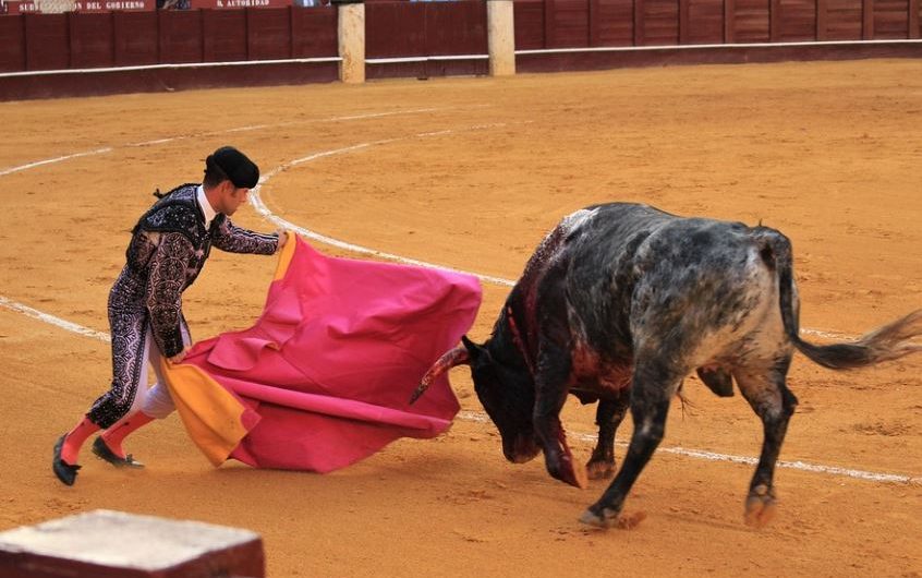 21 Spiritual Meanings of Dreaming of Bulls
