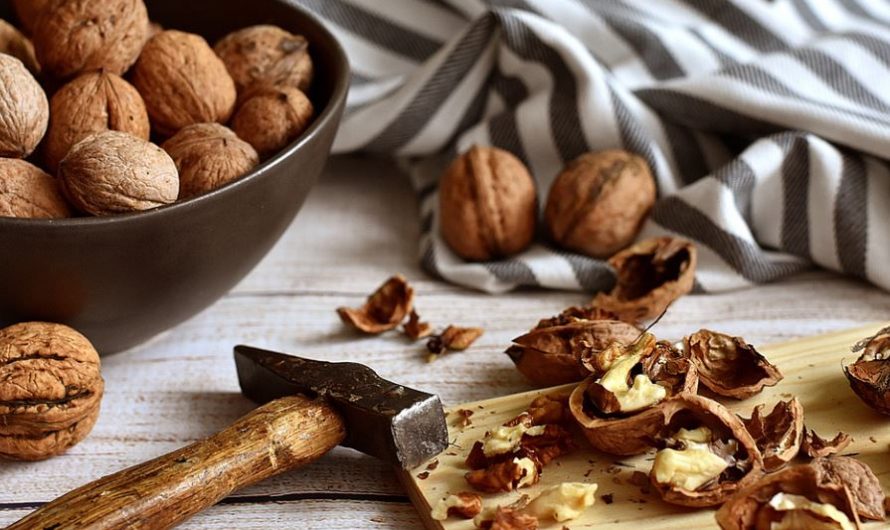 13 Spiritual Meanings of Dreaming of Walnuts