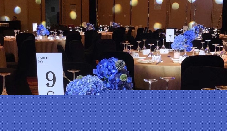 Dream about hosting a dinner party