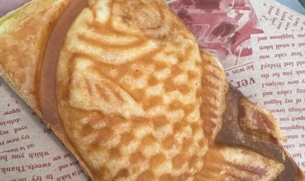 Dreaming of taiyaki