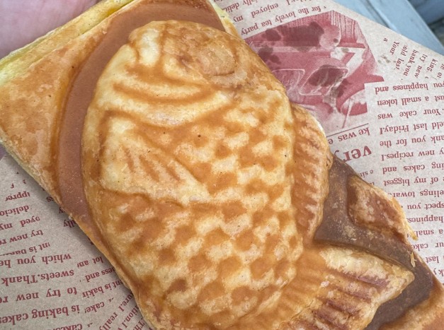 Dreaming of taiyaki
