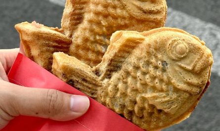 Dreaming of Eating Taiyaki