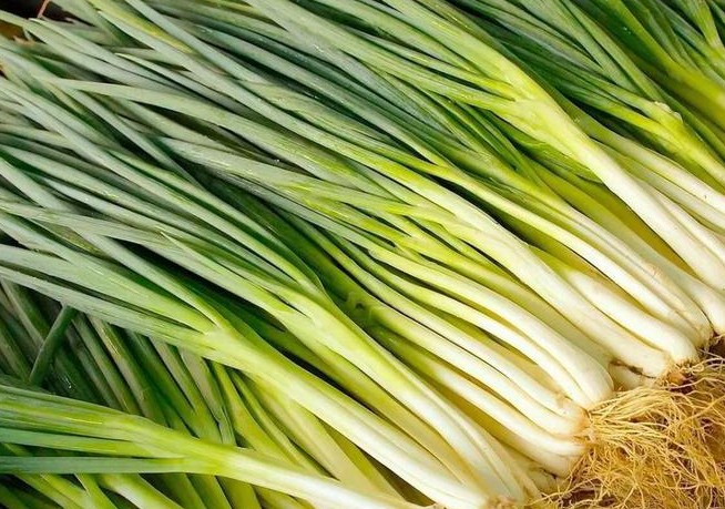Dreaming of a green onions