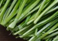 Dreaming of leeks