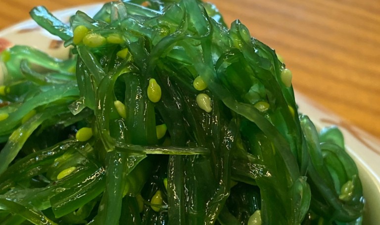 10 Spiritual Meanings of Dreaming of Seaweed