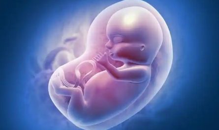 Dreaming of Abortion