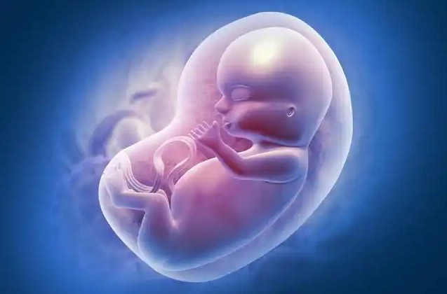 Dreaming of Abortion