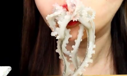Dreaming of Eating Octopus