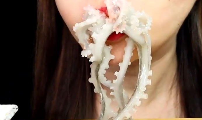 Dreaming of Eating Octopus