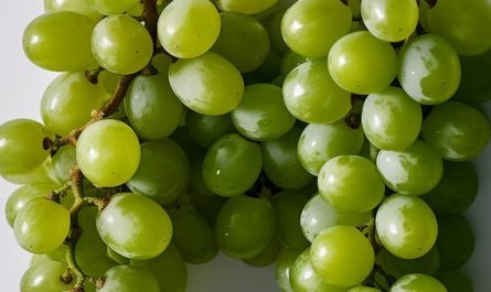 Dreaming of Green Grapes
