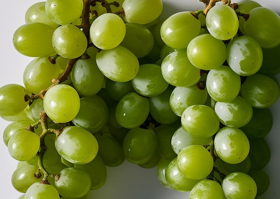 Dreaming of Green Grapes