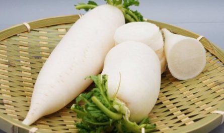 Dreaming of turnips