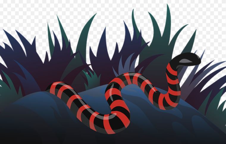 Dreaming of a Red Snake