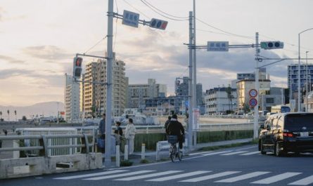 20 Spiritual Meanings of Dreaming of a Pedestrian Crossing