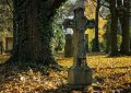 Dreaming of Stranger Death