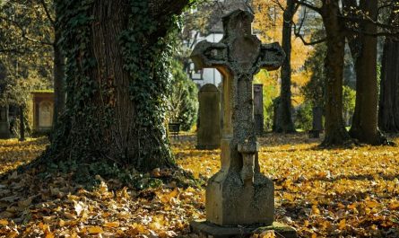 Dreaming of Stranger Death