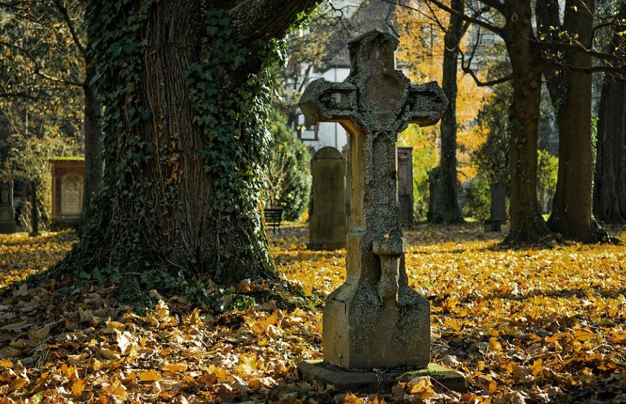 Dreaming of Stranger Death