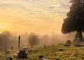 13 Spiritual Meanings of Dreaming of a Grave