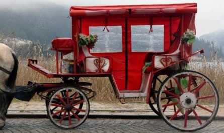 15 Spiritual Meanings of Dreaming of a Carriage