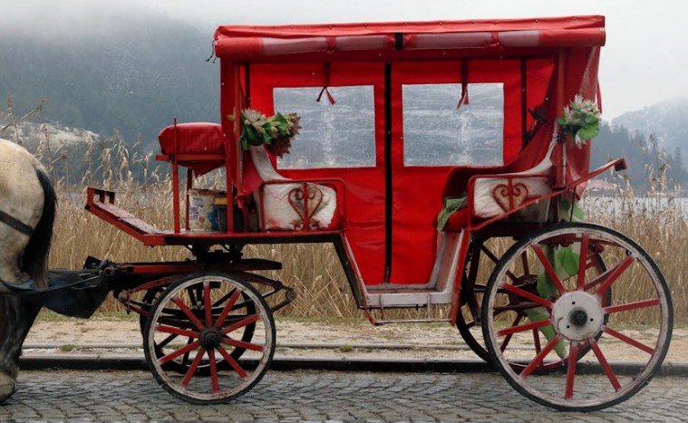15 Spiritual Meanings of Dreaming of a Carriage