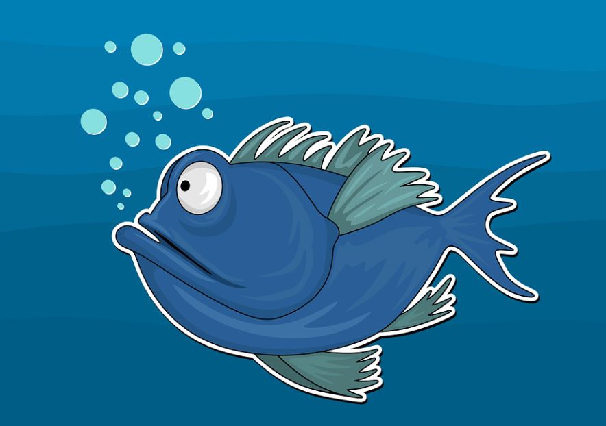 7 Spiritual Meanings of Dreaming of Herring fish