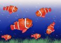 8 Spiritual Meanings of Dreaming of Red Fish