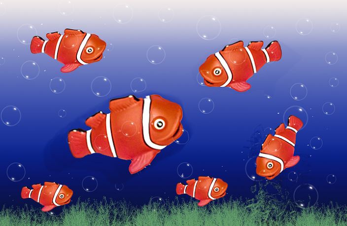 8 Spiritual Meanings of Dreaming of Red Fish