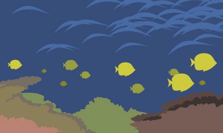 8 Spiritual Meanings of Dreaming of Fish Schools