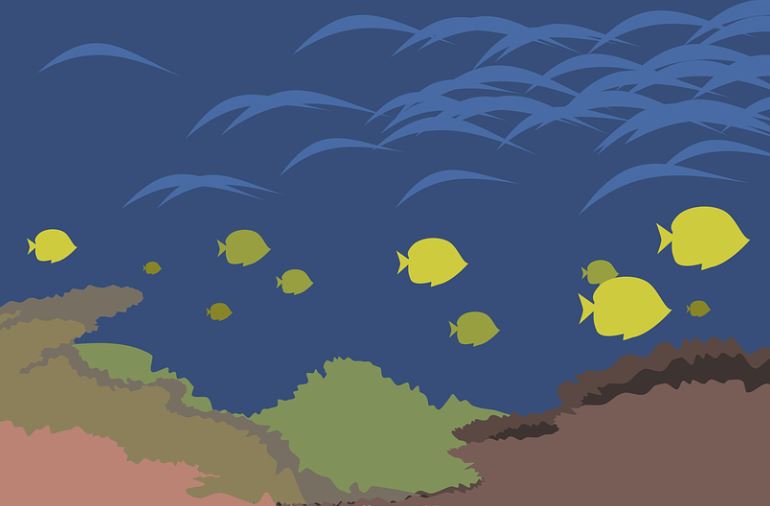 8 Spiritual Meanings of Dreaming of Fish Schools