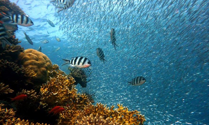 6 Spiritual Meanings of Dreaming of Fishing with Hands