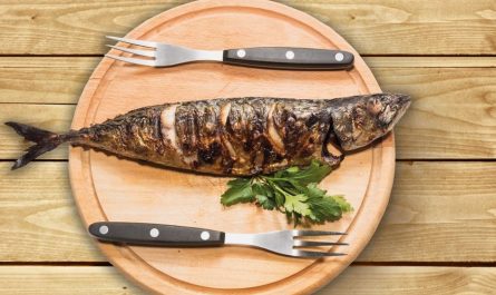 8 Spiritual Meanings of Dreaming of mackerel