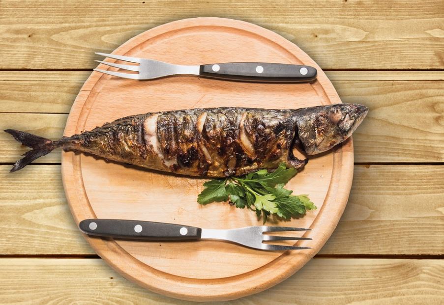 8 Spiritual Meanings of Dreaming of mackerel