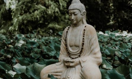 20 Spiritual Meanings of Dreaming of Buddhism