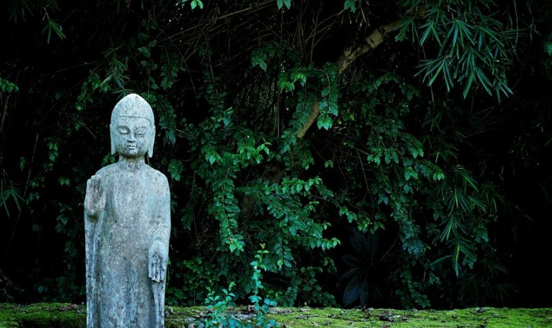 20 Spiritual Meanings of Dreaming of Buddha Statues