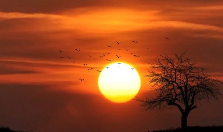 20 Spiritual Meanings of Dreaming of Watching the Sunrise