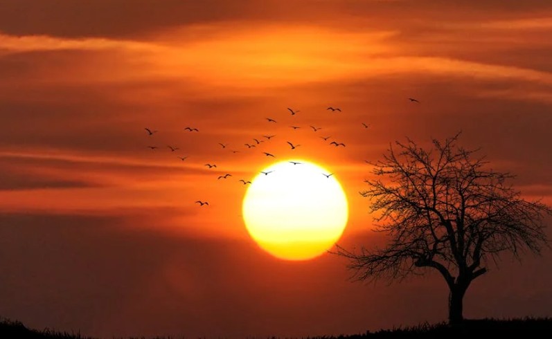 20 Spiritual Meanings of Dreaming of Watching the Sunrise