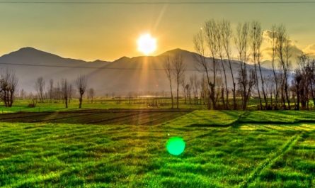 15 Spiritual Meanings of Dreaming of Sunrise Photos