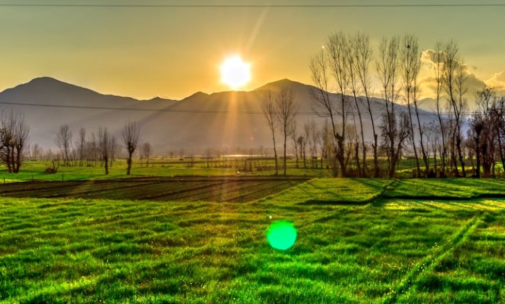 15 Spiritual Meanings of Dreaming of Sunrise Photos