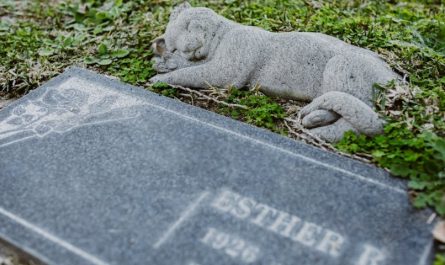 9 Spiritual Meanings of Dreaming of Killing a Close Friend