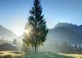 18 Spiritual Meanings of Dreaming about Morning