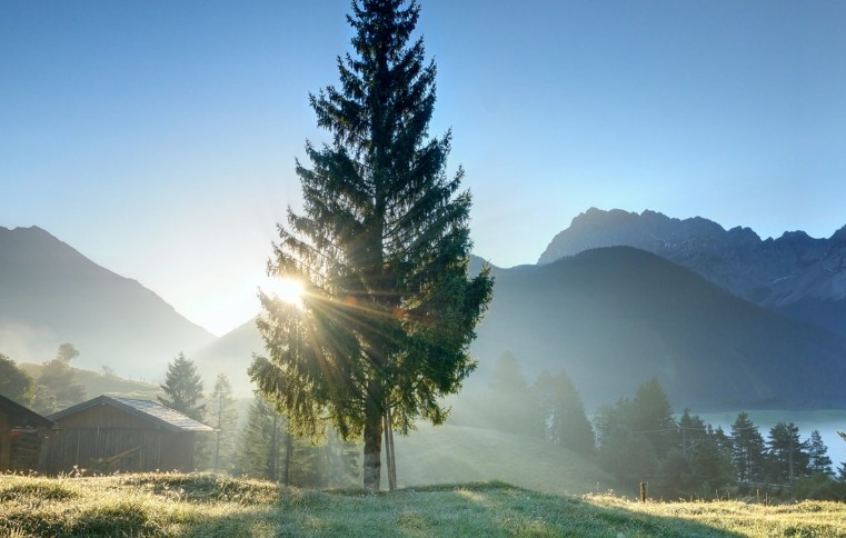 18 Spiritual Meanings of Dreaming about  Morning