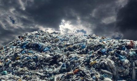 17 Spiritual Meanings of Dreaming of Garbage