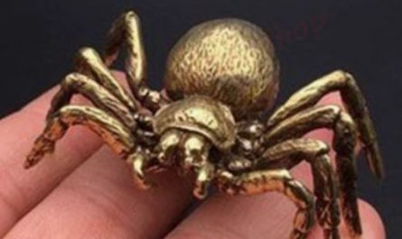 5 Spiritual Meanings of Dreaming about golden spider