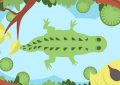 5 Spiritual Meanings of Dreaming about a baby crocodile attacking