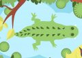 5 Spiritual Meanings of Dreaming about a big crocodile attack