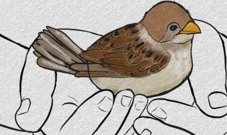 5 Spiritual Meanings of Dreaming about sparrows