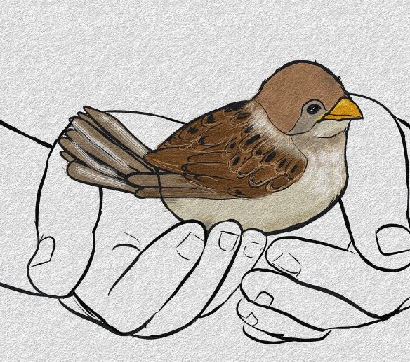 5 Spiritual Meanings of Dreaming about sparrows
