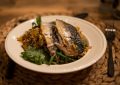 5 Spiritual Meanings of Dreaming about mackerel